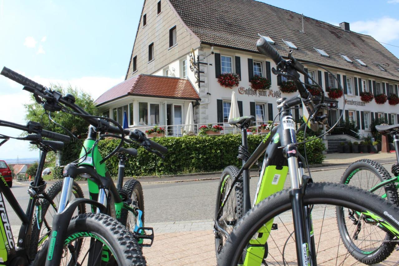 Hotel Roessle Furstenberg  Luaran gambar